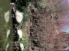 -白水带风景区体育公园