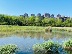 -前关湿地公园