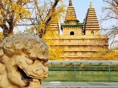 -北京石刻艺术博物馆(五塔寺)