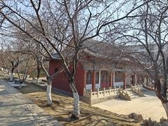 -桃花堤公园