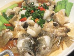 鲜花椒蒸鱼-猪肉婆私房菜(容桂总店)