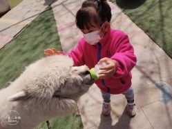 -萌宠亲子动物乐园(槐房万达店)