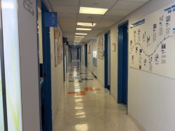 -杭州贝瑞斯美华妇儿医院·早孕·产检·儿科