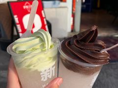 -萨朗刀克冰淇淋雪花凉(植物园店)