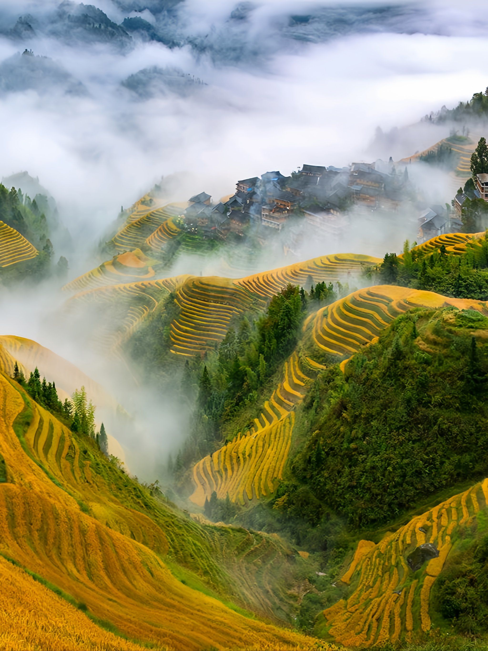 一起去看梯田去赏秋