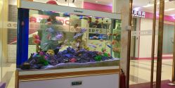 -莘苗家小儿推拿(印象城店)