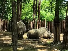 -北京野生动物园