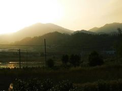 -万达广场(龙湾店)