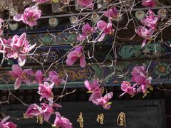 -潭柘寺景区