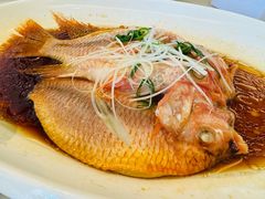 -华盛丰温州大排档(东三环南路店)