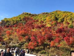 -龙道沟景区