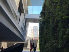 -旧金山现代艺术博物馆