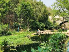 -白水寺森林公园