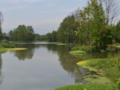 -桤木河湿地公园