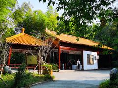 -善卷洞风景区