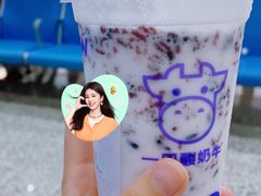 -一只酸奶牛(八一路店)