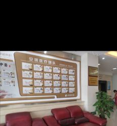 -北京安琪