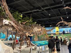 -国家自然博物馆