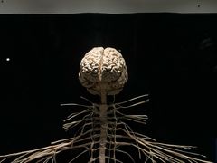 -生命奥秘博物馆