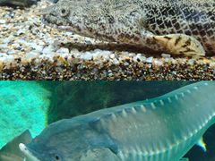 -太平洋海底世界