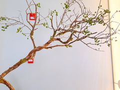 -渔嫂烧河鲜•土菜馆(中正天街店)