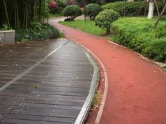 -新湖明珠城