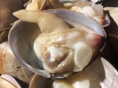 -兆辉木炭海鲜烧烤·海鲜小炒