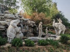 -南宫五洲植物乐园