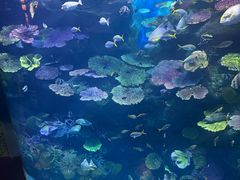 -暹罗海洋世界