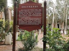 -艾提尕尔清真寺