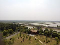 景点-大湾区中央湿地公园