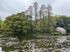 景点-杭州植物园
