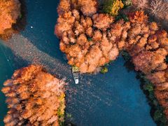 -上海海湾国家森林公园