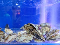 -陈老斯呼尔嗨吃烧烤(科巷店)