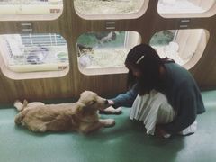 -藦茜花园宠物主题亲子互动体验馆(国顺东路店)