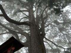 -终南山南五台景区