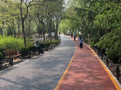 -大兴滨河森林公园