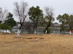 -八大山人梅湖景区