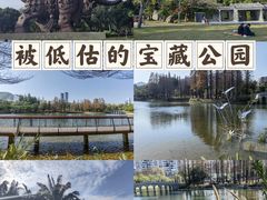 -四海公园(南山区)
