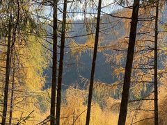 -硗碛藏寨·神木垒景区