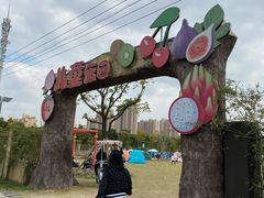-菊园百果园