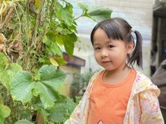 -金豆子幼稚园