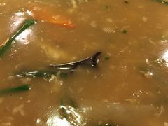 -阿湾楼·温州海鲜·江浙菜(京江路店)