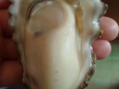 -虾宝贝胶东海鲜·渔家菜(小西天店)