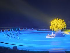 -鼎盛王朝康熙大典实景演出