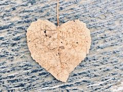 -合肥滨湖国家森林公园