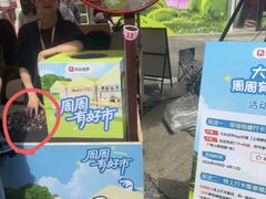 -上海柏悦酒店
