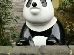 -熊猫邮局(少城店)