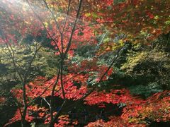 -丹东天桥沟景区