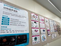 -美联众合爱康动物医院•复杂内科•肿瘤科•牙科•腔镜诊疗中心